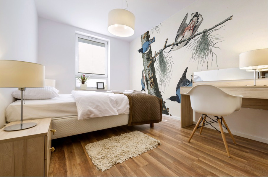 White-breasted Black-capped Nuthatch Mural print