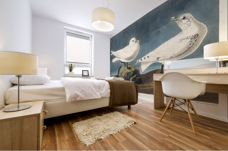 Ivory Gull Mural print