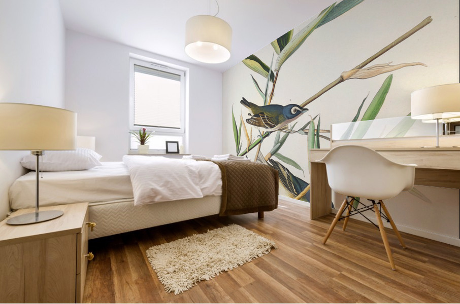 Vireo Solitarius Mural print