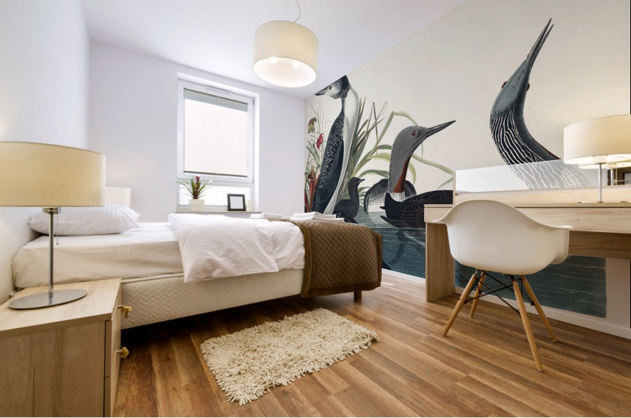 Red-Throated Diver Mural print