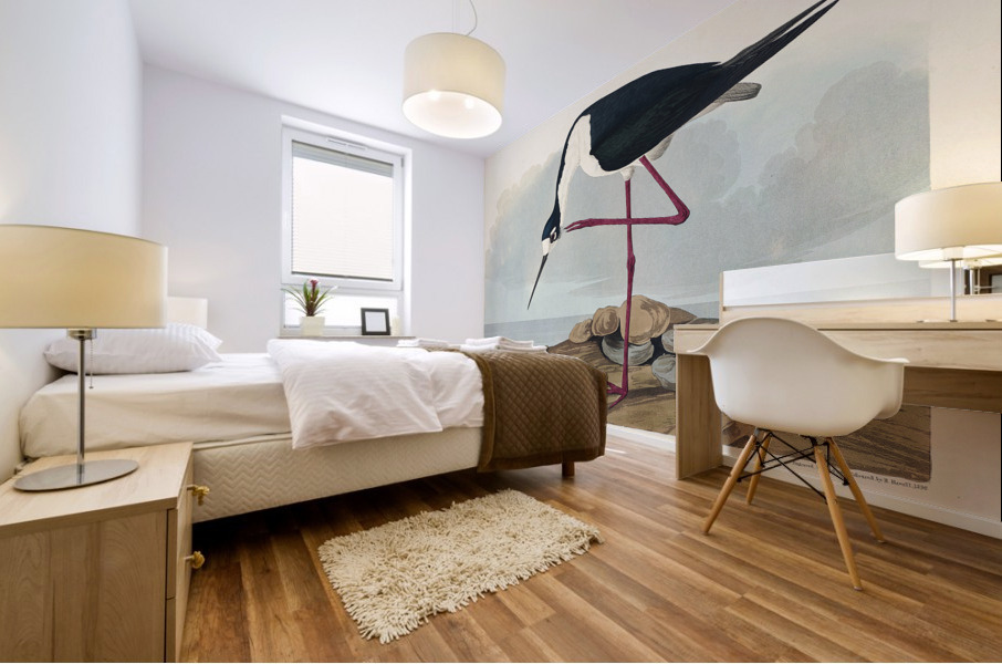 Long-legged Avocet Mural print