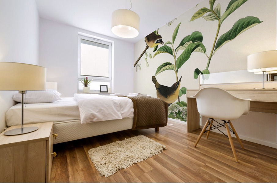 Wandering Shearwater Mural print