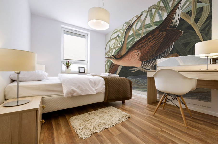 Fresh Water Marsh Hen Mural print