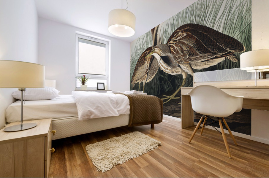 American Bittern Mural print