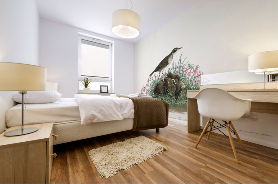 Prairie Titlark Mural print