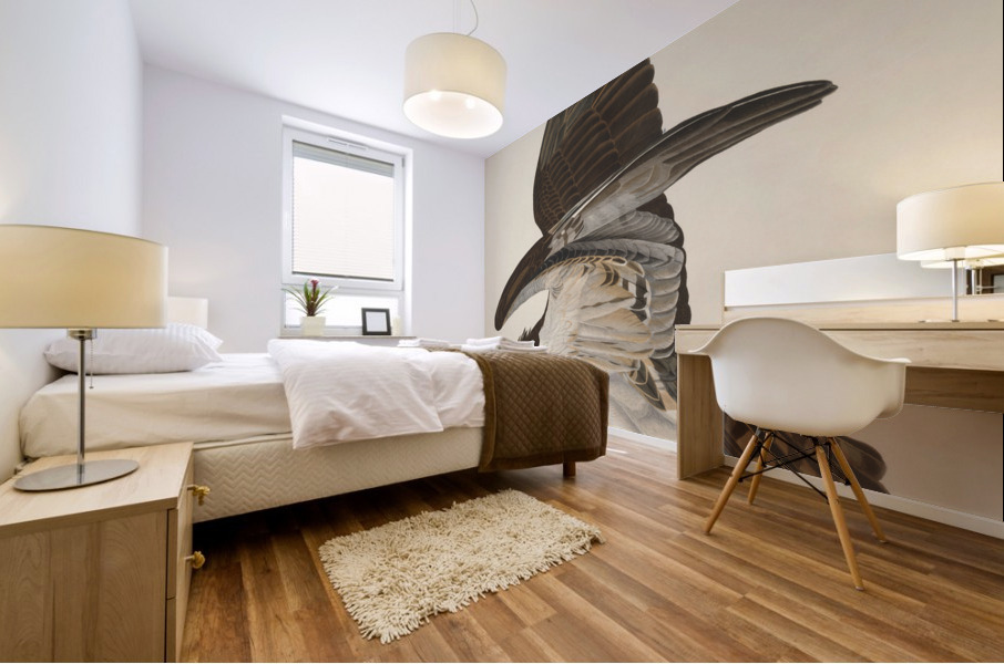 Fish Hawk or Osprey Mural print