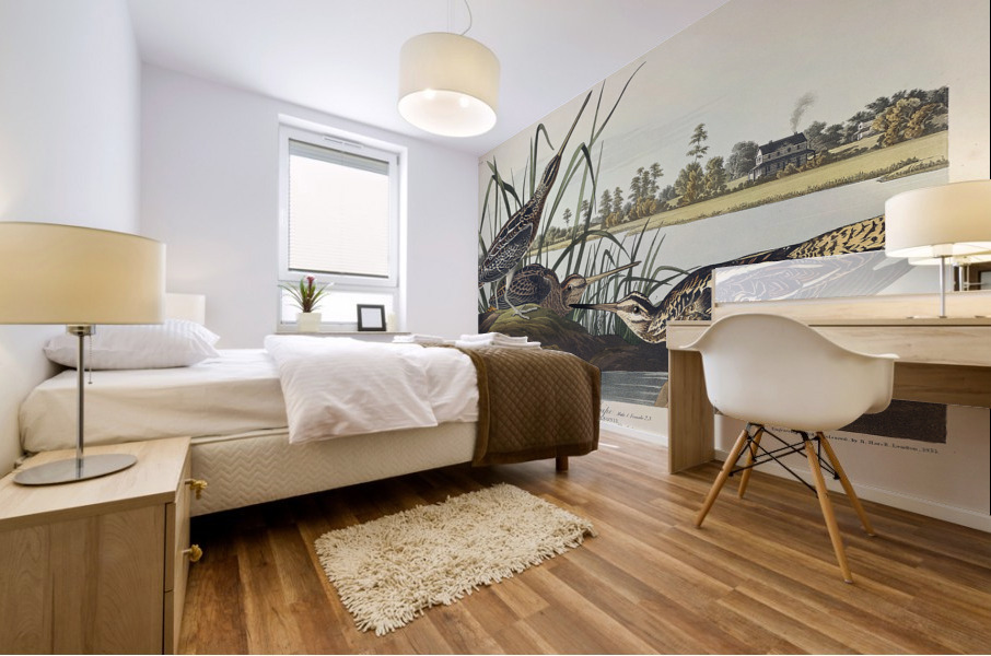 American Snipe Mural print