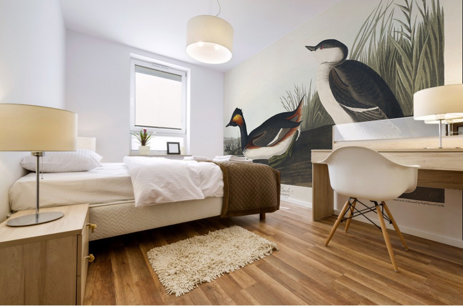Eared Grebe Mural print