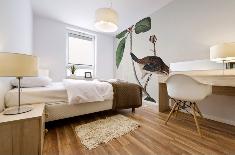 Bachmans Finch Mural print