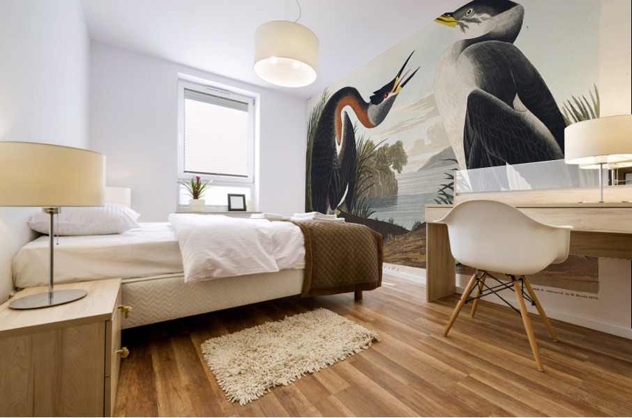 Red-necked Grebe Mural print