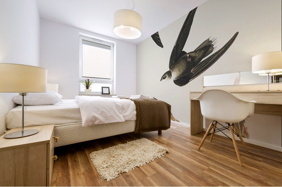 American Swift Mural print