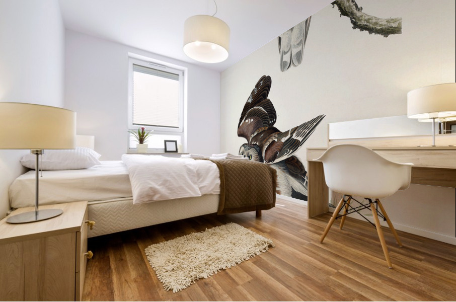 Little Owl Mural print