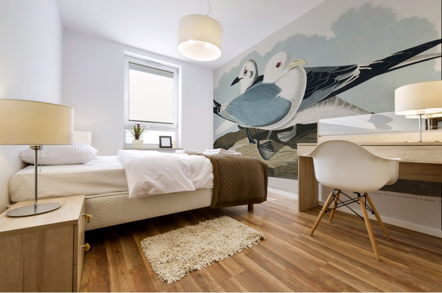 Kittiwake Gull Mural print