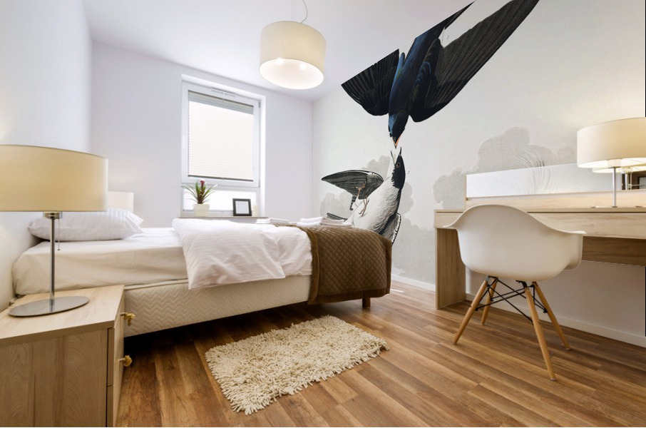 White-bellied Swallow Mural print