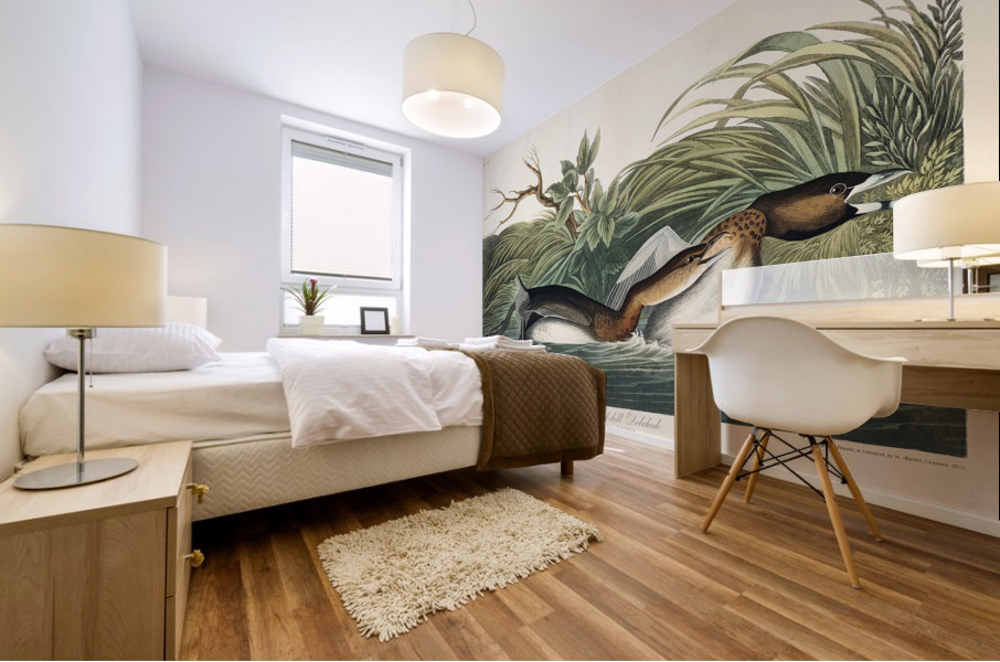 American Pied-billed Mural print