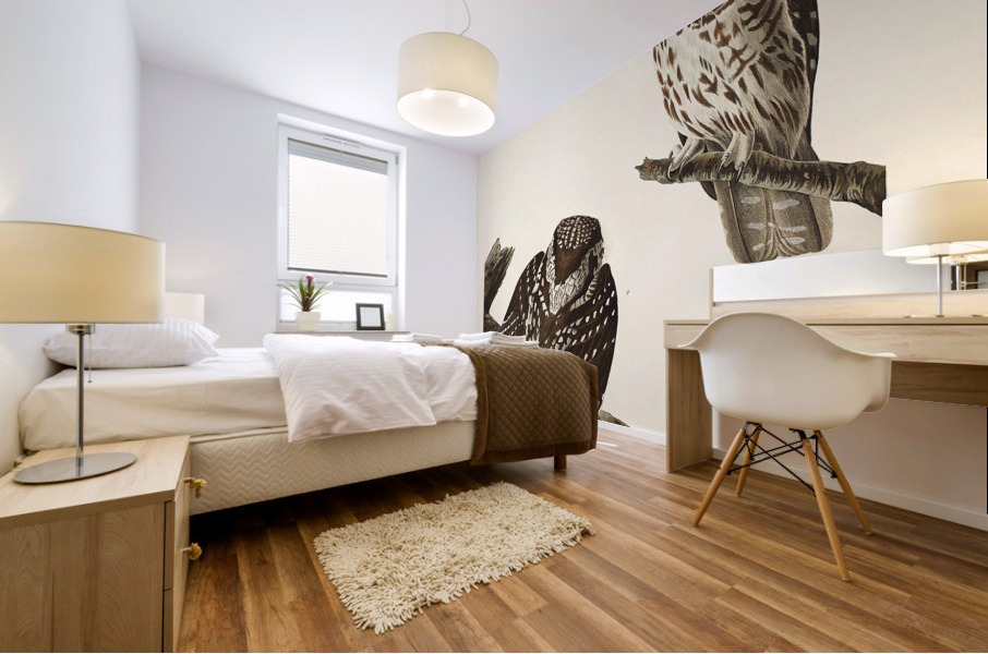 Tengmalms Owl Mural print