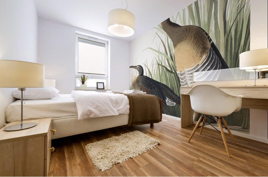 Salt Water Marsh Hen Mural print