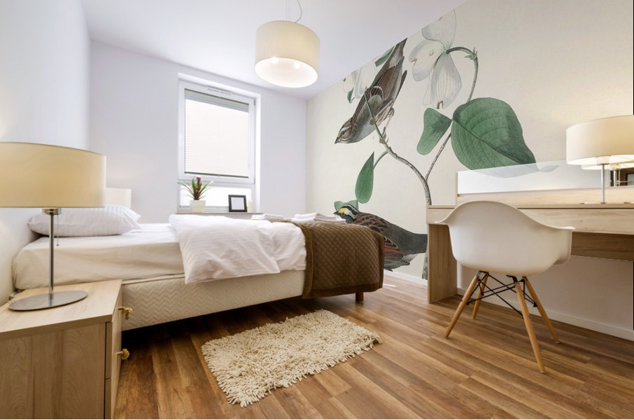 Sanderling Mural print