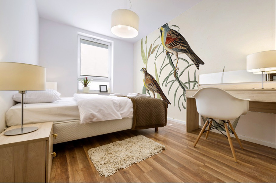 Black-Throated Bunting Mural print