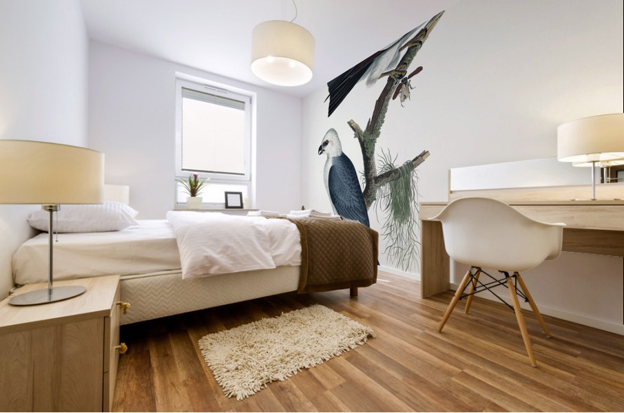 Mississippi Kite Mural print