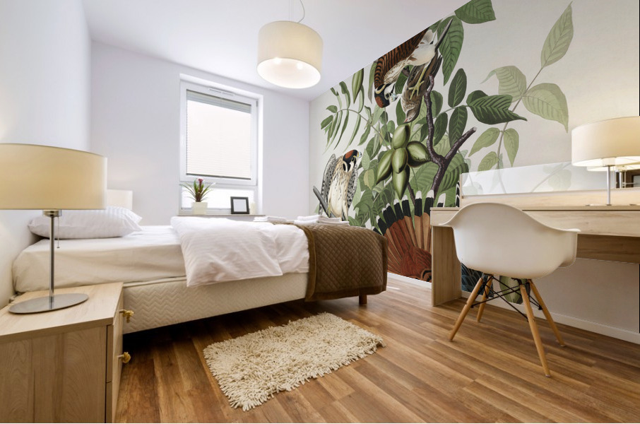 American Sparrow Hawk Mural print