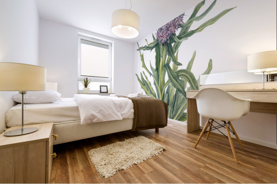 Saussurea Saussurea densa 1925 Mural print