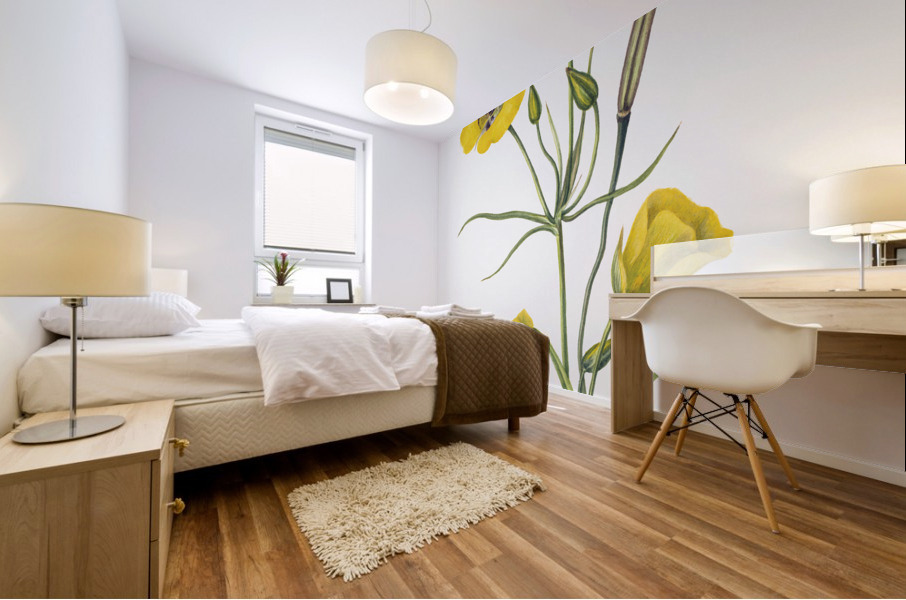 Harebell Campanula rotundifolia 1916 Mural print