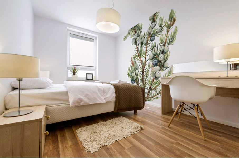 Mountain Juniper Juniperus sibirica 1917 Mural print