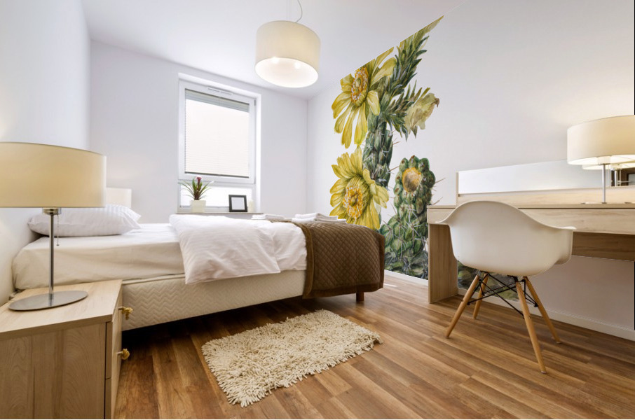 Cylindropuntia whipplei 1938 Mural print