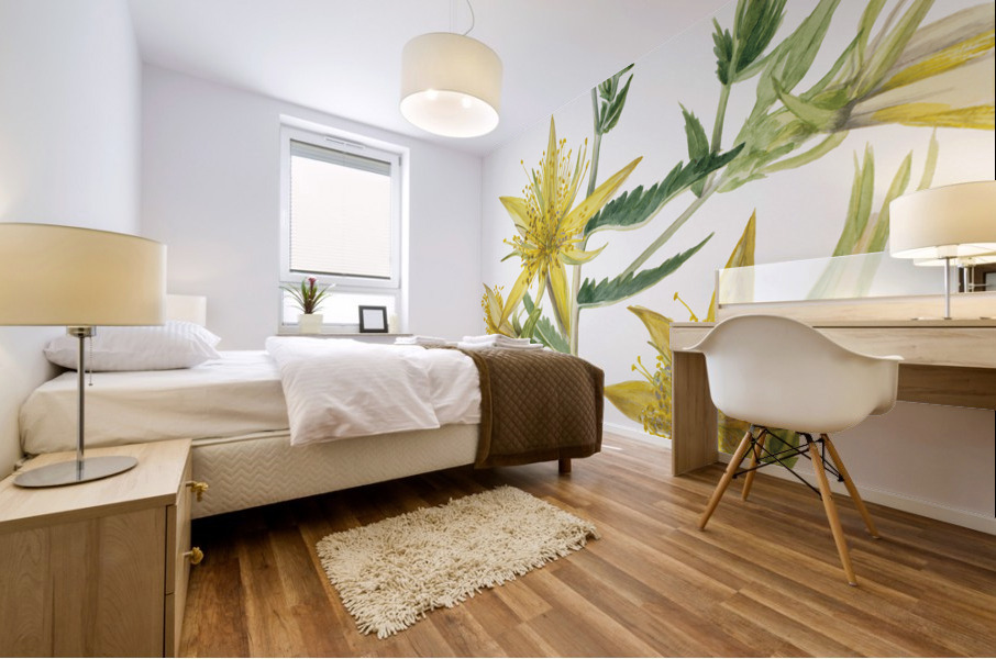 Blazing Star Mentzelia laevicaulis 1930 Mural print