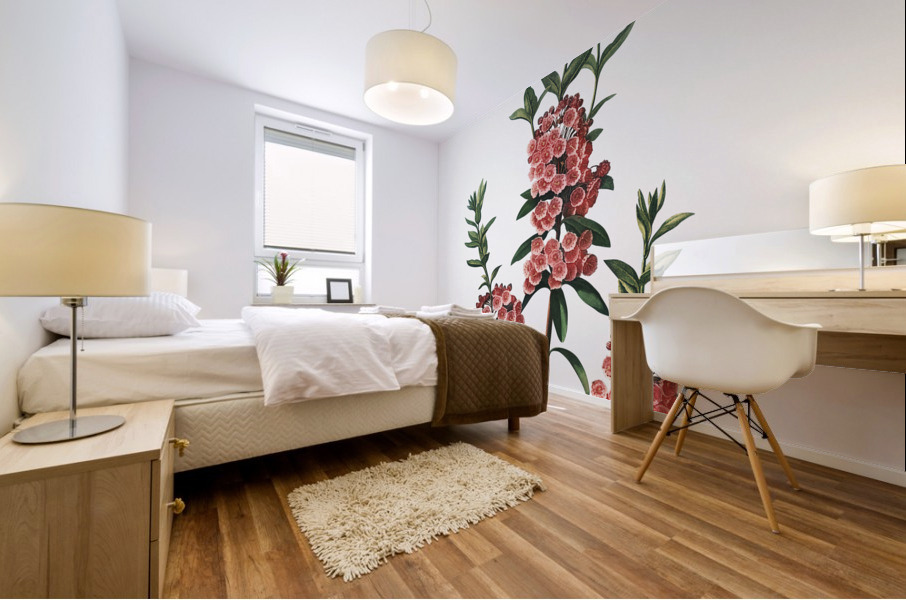 The Narrow–Leaved Kalmia Mural print