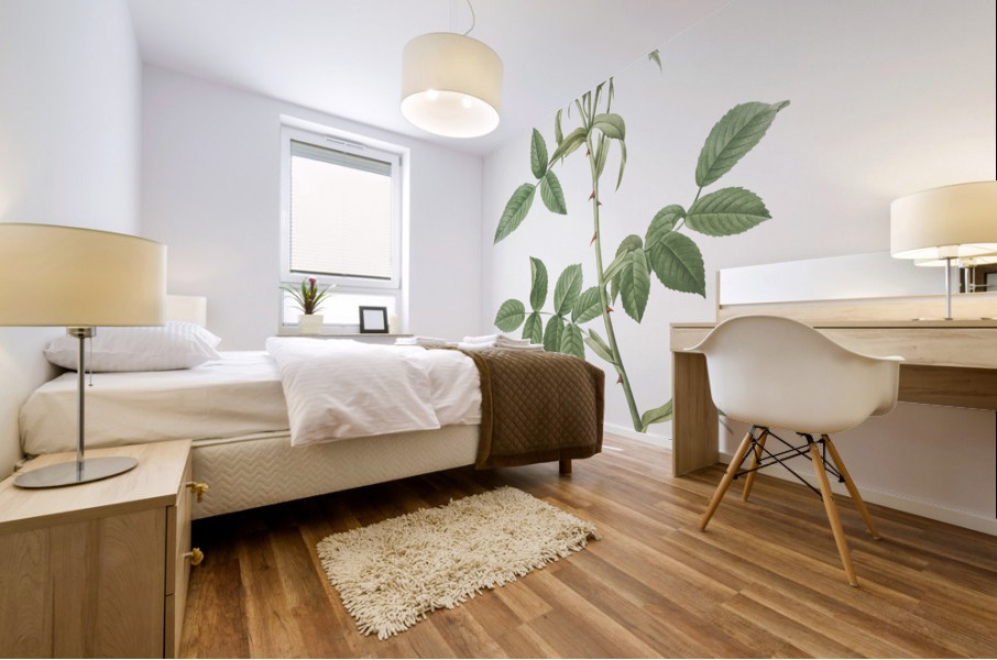 Lady monson rose in bloom Mural print