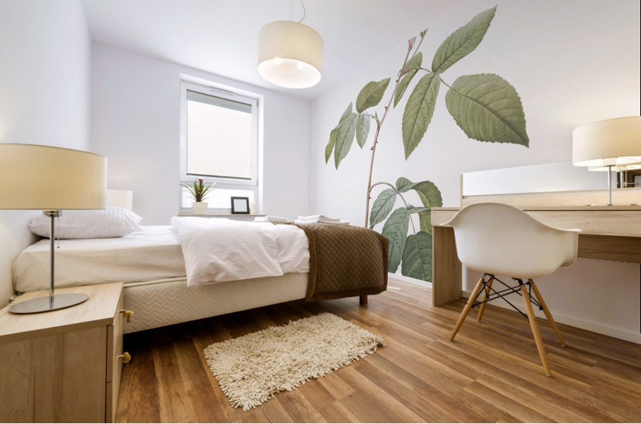 Big leaved climbing rose Mural print