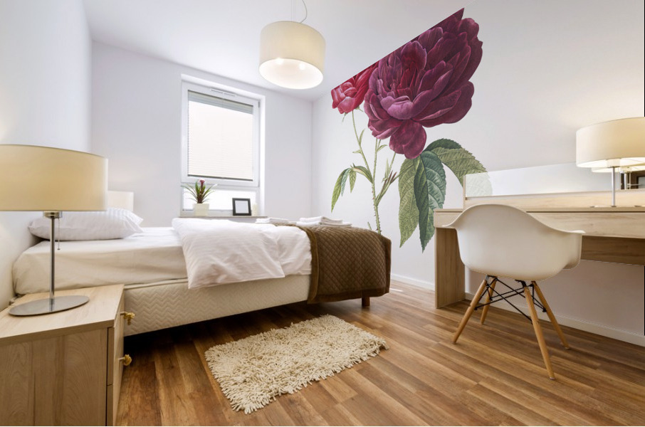 Blooming purple roses Mural print