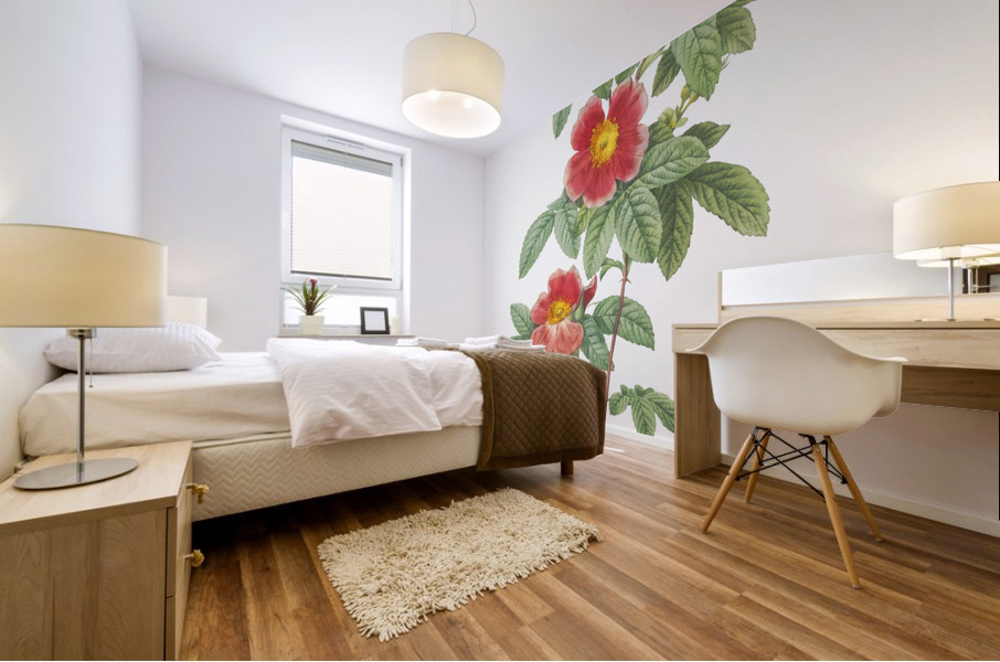 Blooming single may rose Mural print