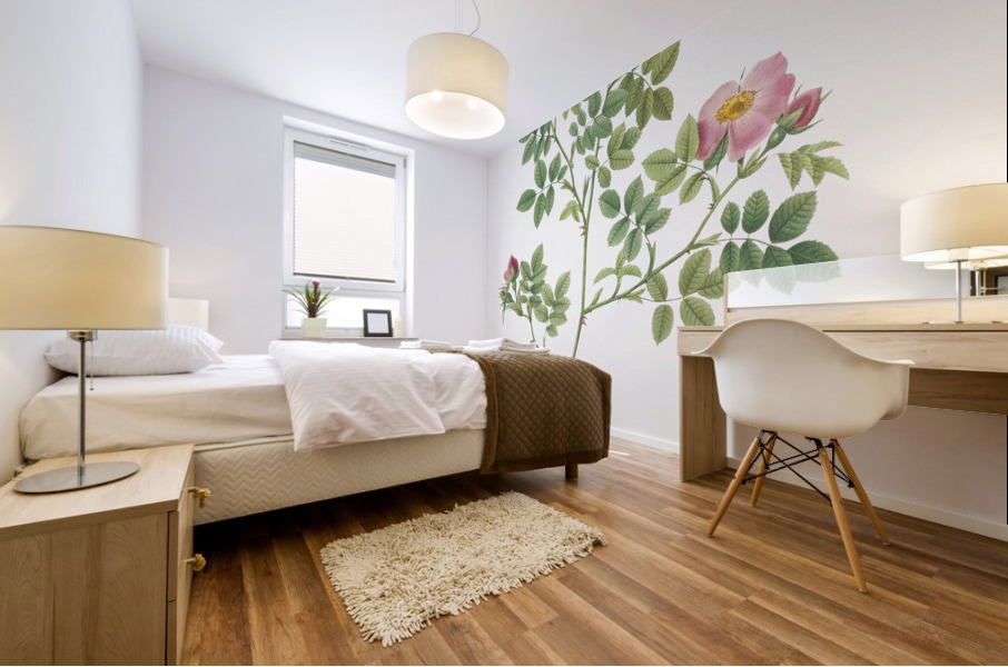 Vintage Provence rose Mural print