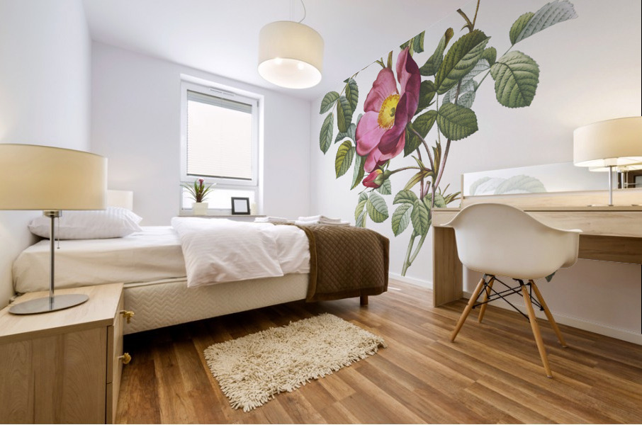 Rose of love in bloom Mural print