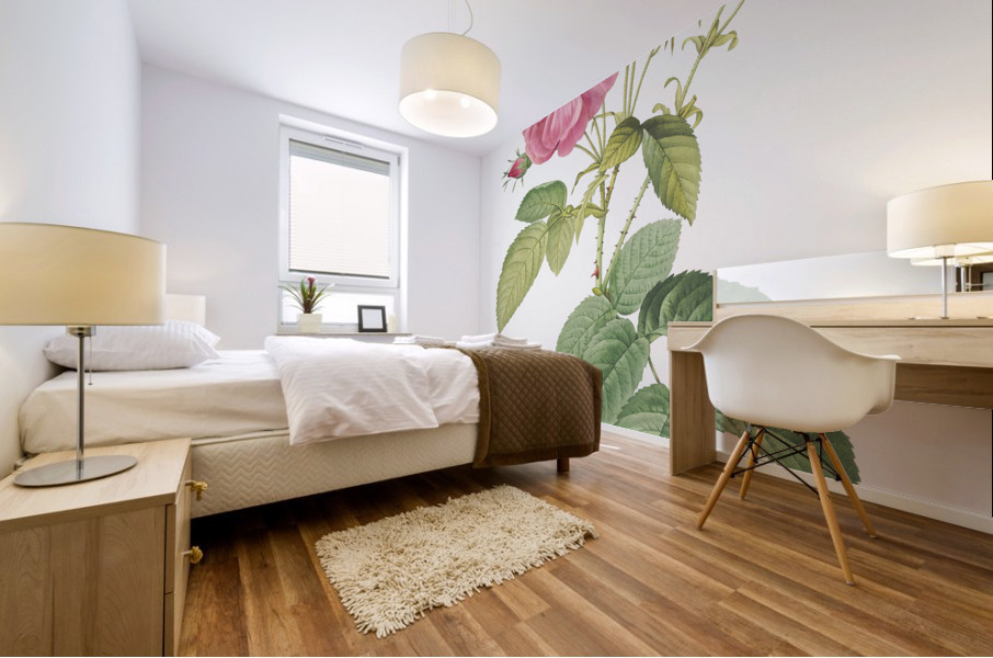 Pink roses in bloom Mural print