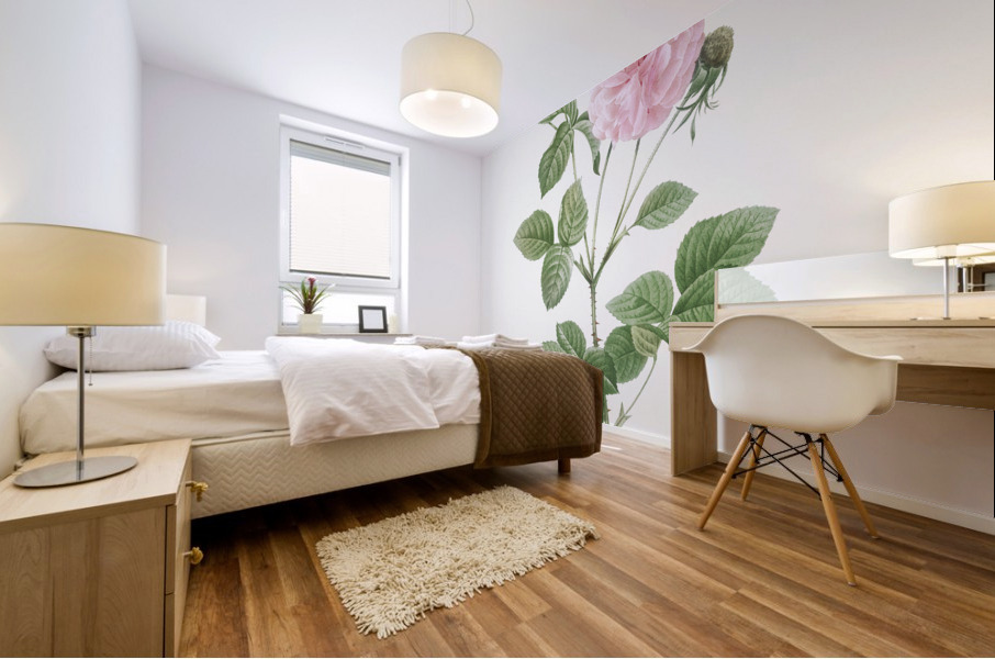 Pink agatha rose Mural print