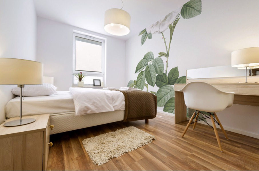 Blooming white rose Mural print