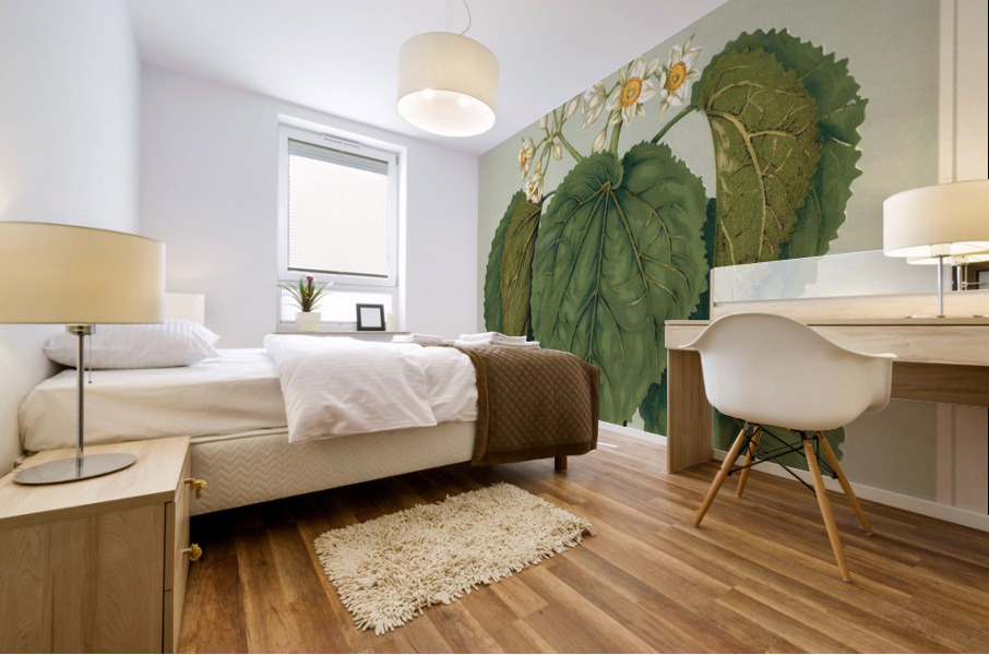 Sarah Featon 035 Mural print