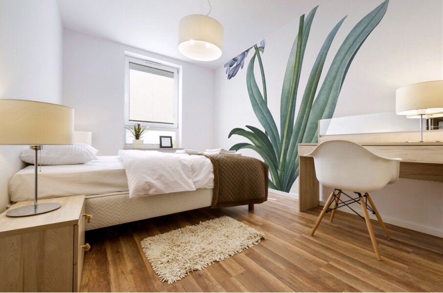 Lily of the Nile illustration  Mural print