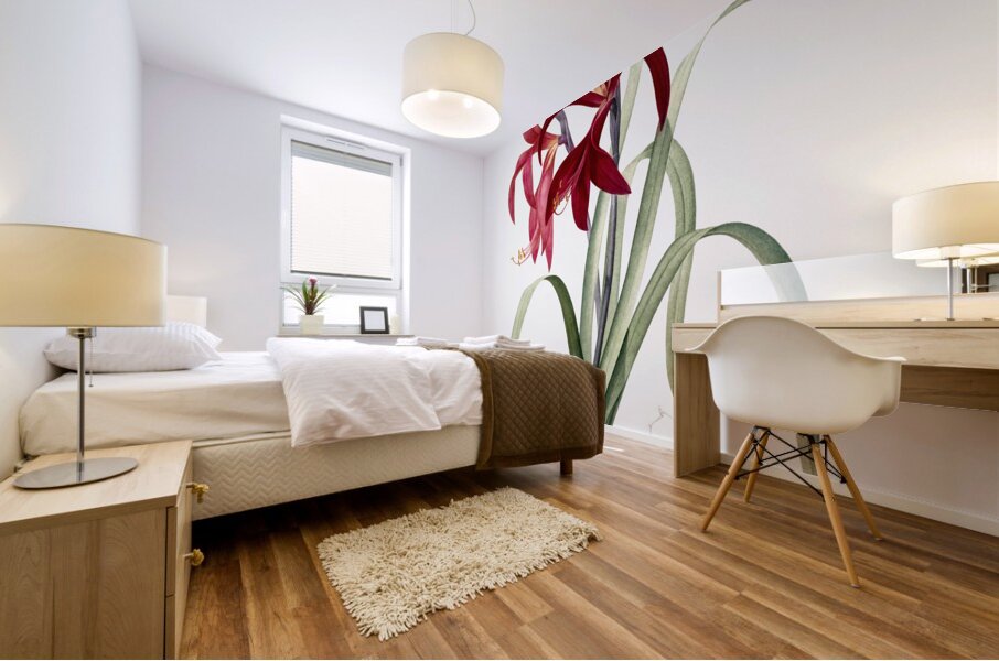 Lily illustration  Mural print