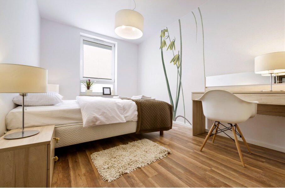 Albuca illustration Mural print