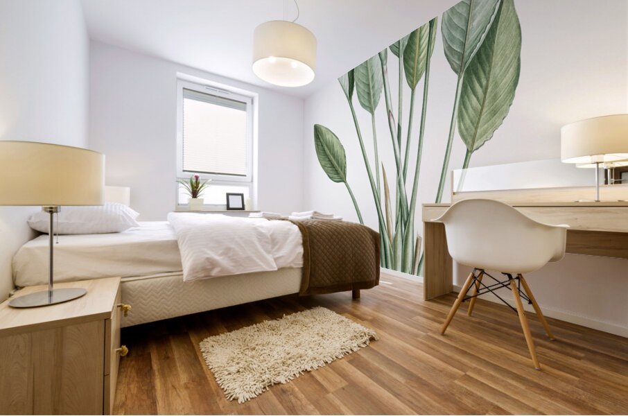 Bird of paradise illustration  Mural print