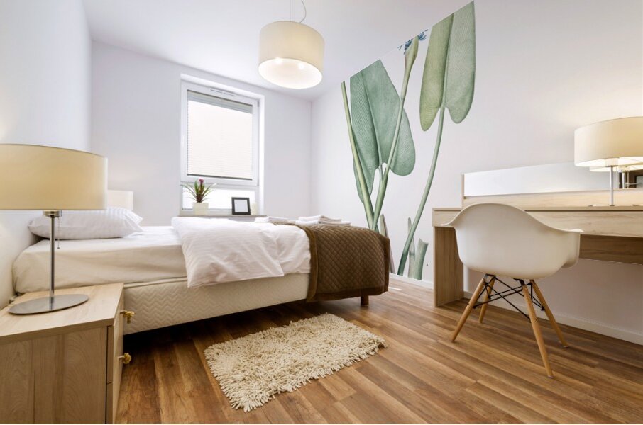 Pickerelweed illustration  Mural print