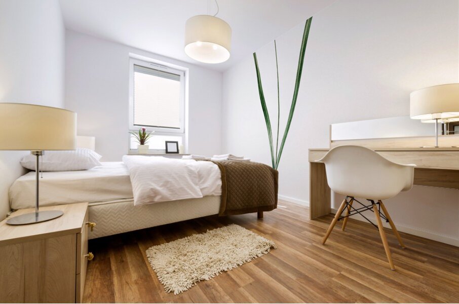 Small yellow onion illustration  Mural print