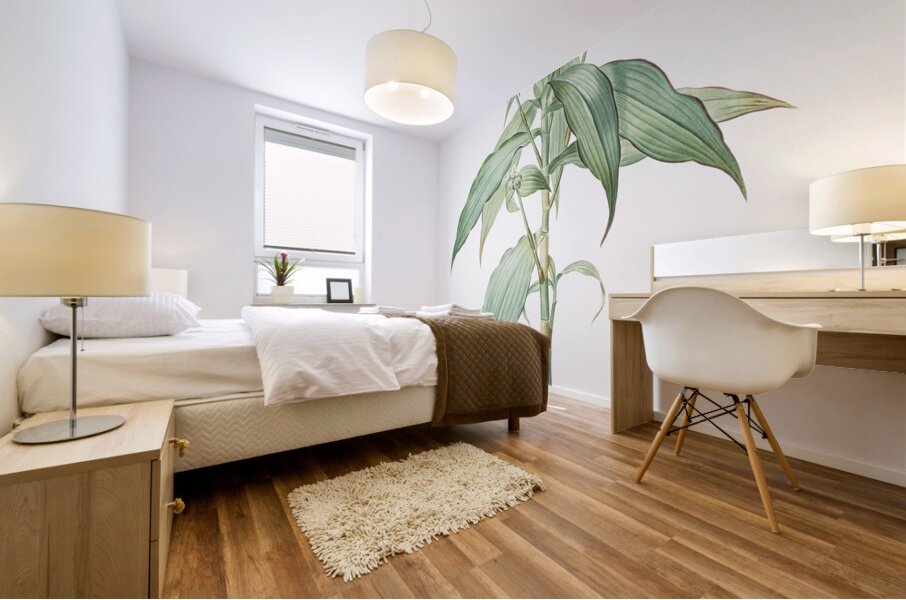 Commelina zanonia illustration  Mural print