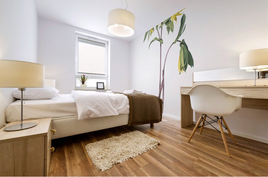 Uvularia perfoliata illustration  Mural print