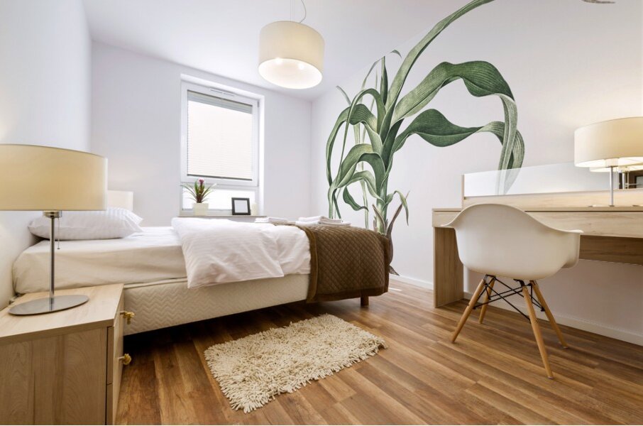 Iris scorpiodes illustration  Mural print